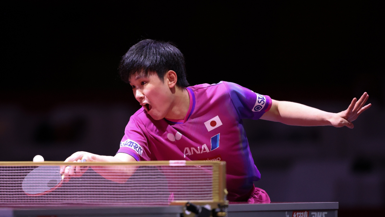 开云体育官网-奥地利乒乓球队碾压日本乒乓球队,张本智和高光表现的简单介绍