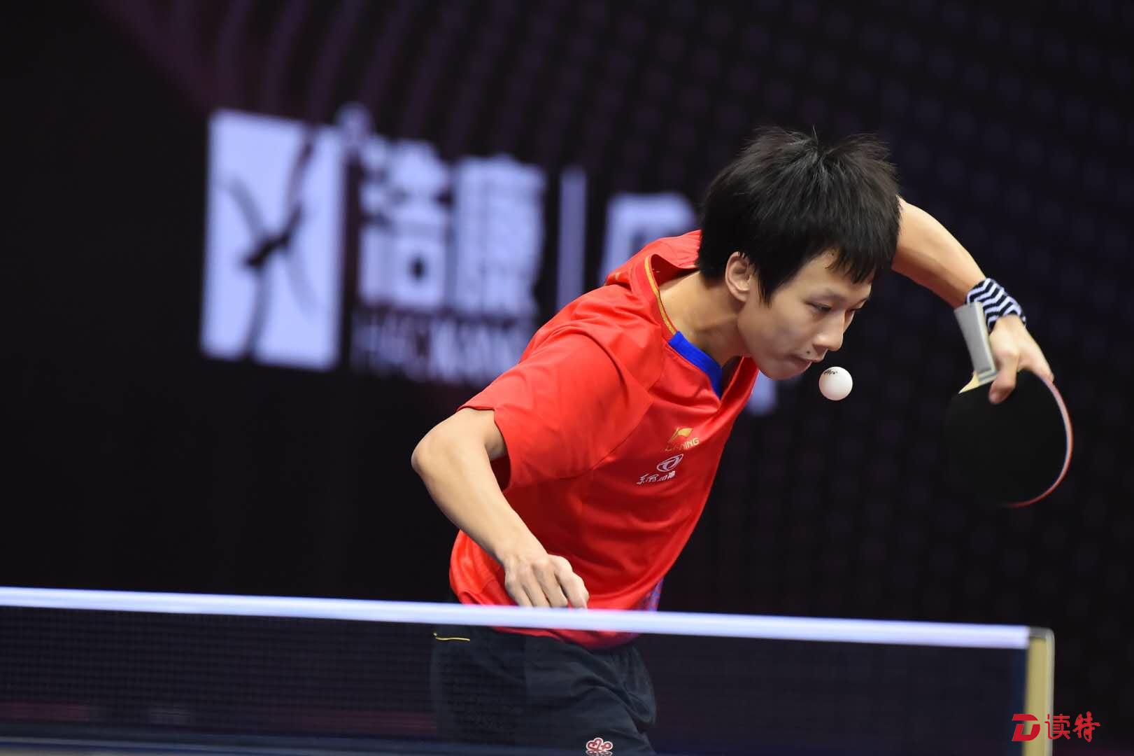 关于比利时乒乓球队翻盘法国乒乓球队，奥恰洛夫关键制胜的信息