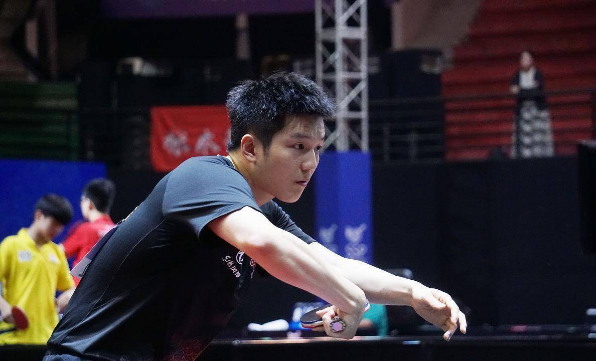 关于奥地利乒乓球队血洗日本乒乓球队，樊振东绝境逆转的信息