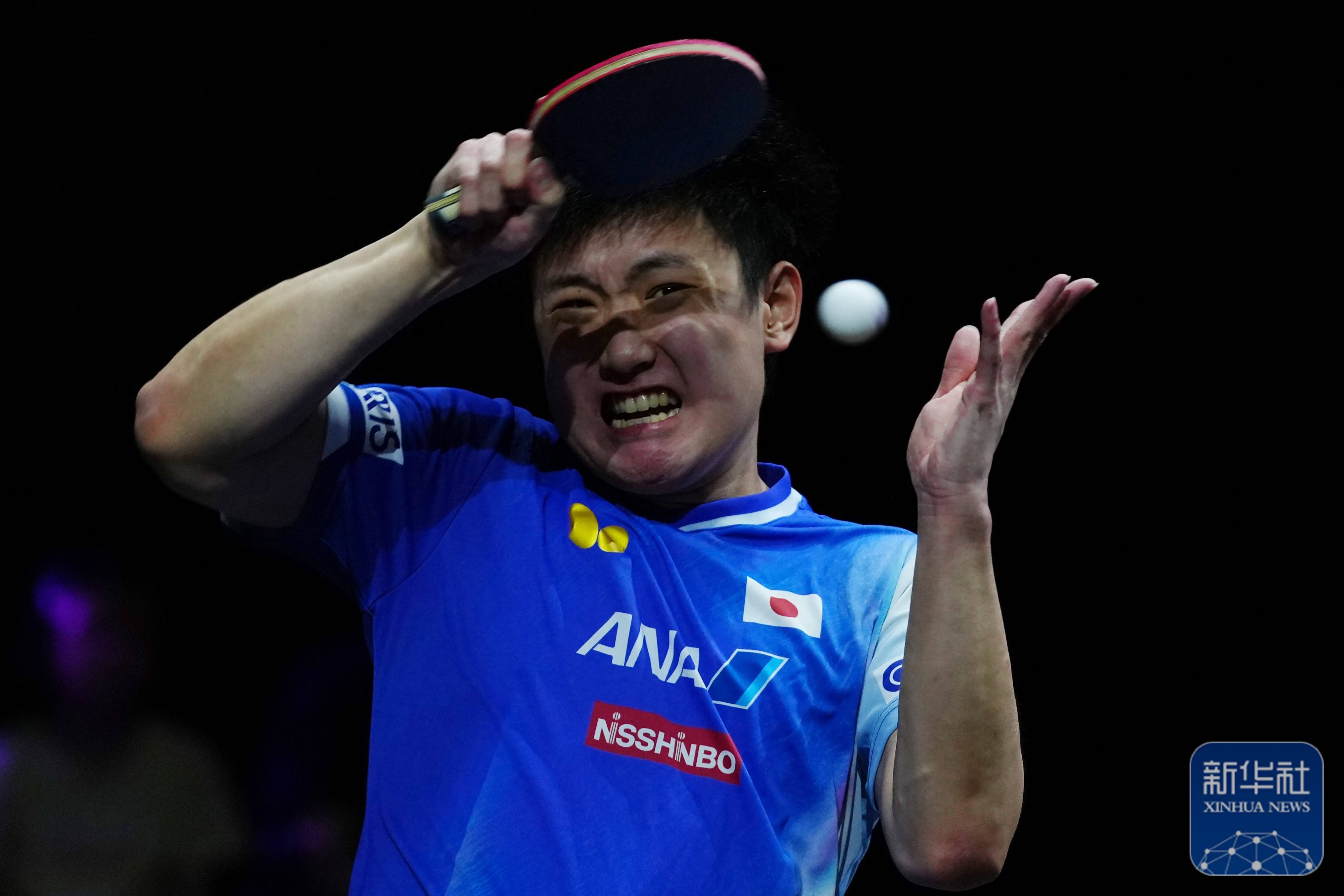 法国乒乓球队绝杀日本乒乓球队，张本智和惊艳世界的简单介绍