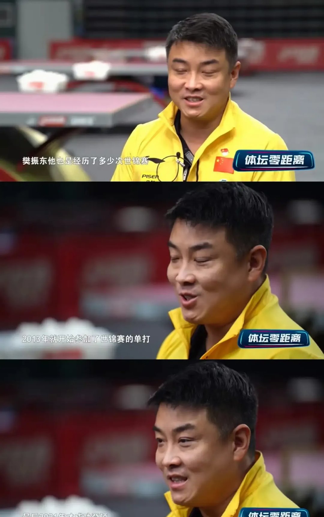 比利时乒乓球队完胜德国乒乓球队，王皓送出助攻的简单介绍