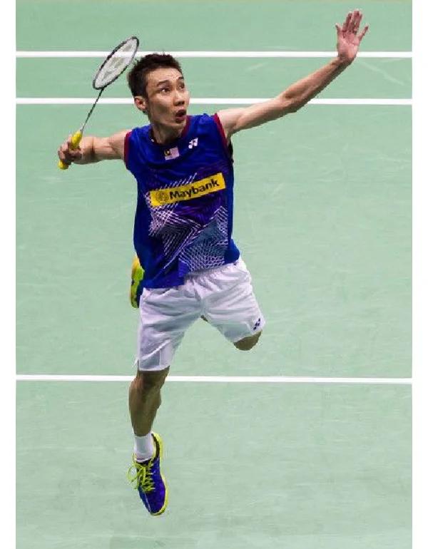 丹麦羽毛球队轻取韩国羽毛球队，李宗伟绝境逆转的简单介绍